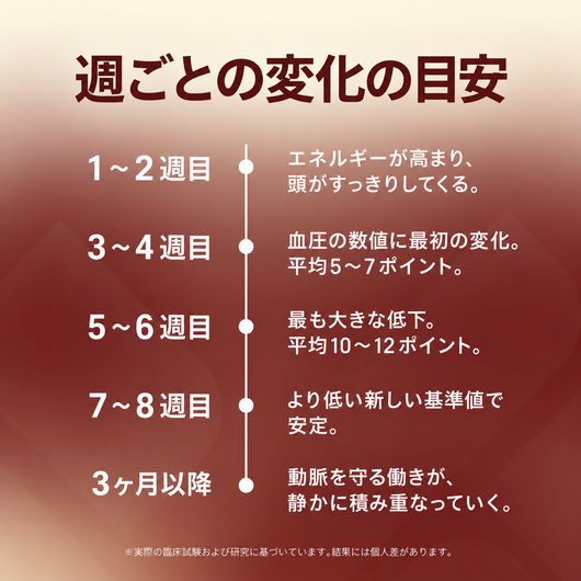 熟成ニンニクエキス：血圧降下剤では決して解決できなかったこと